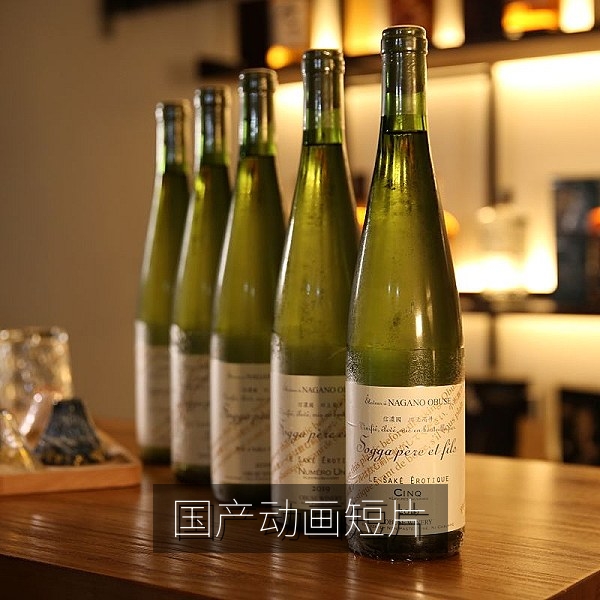 国产动画短片中水墨风格的山川与飞鸟画面