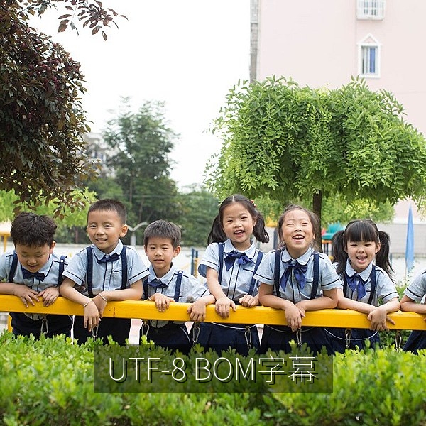 UTF-8 BOM标记缺失造成字幕乱码的说明图