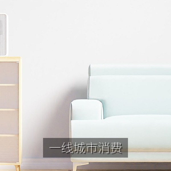一线城市商圈国货品牌旗舰店与高端消费体验