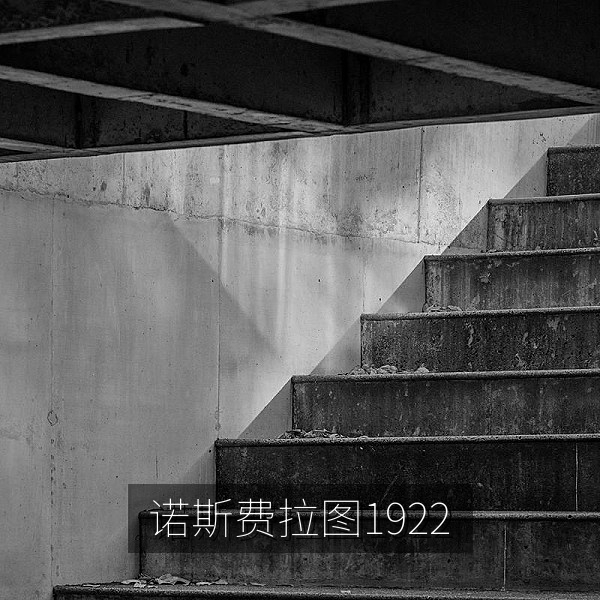 1922年默片经典诺斯费拉图免费视频在线观看剧照