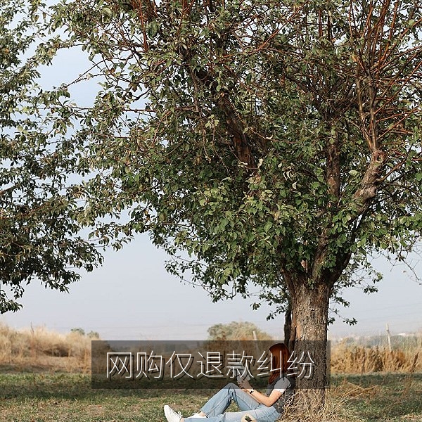 网购订单页面与售后沟通截图，仅退款纠纷中的买卖双方