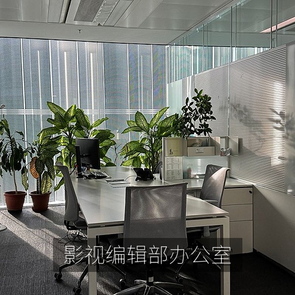 伊人影视网在线编辑部办公环境，影视资讯编辑工作场景