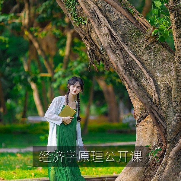 经济学原理公开课讲解供需与价格的免费视频