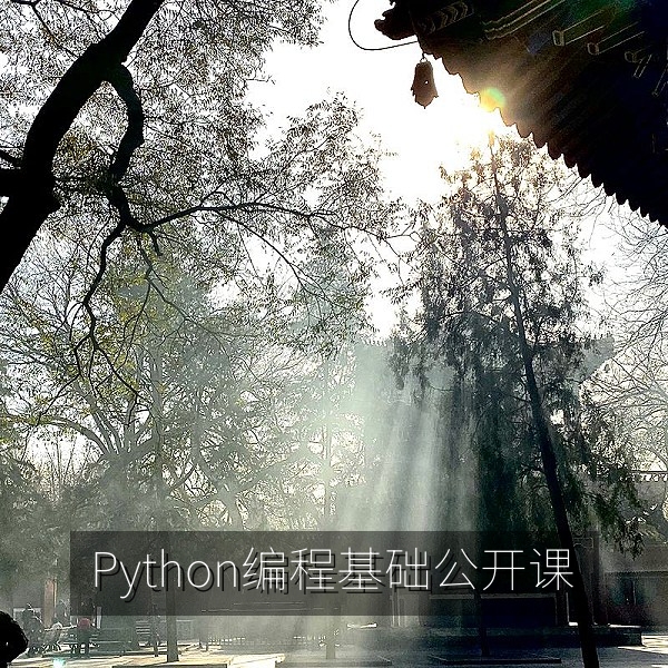 Python编程基础入门公开课免费视频教程画面
