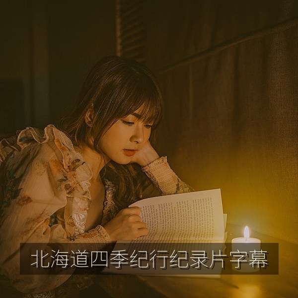 纪录片《北海道四季纪行》中文字幕画面，雪原与森林风光