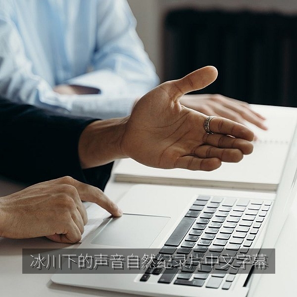自然纪录片《冰川下的声音》海报，纪录片在线观看中文字幕