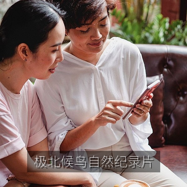 国产自然纪录片《极北候鸟》鸟群迁徙画面