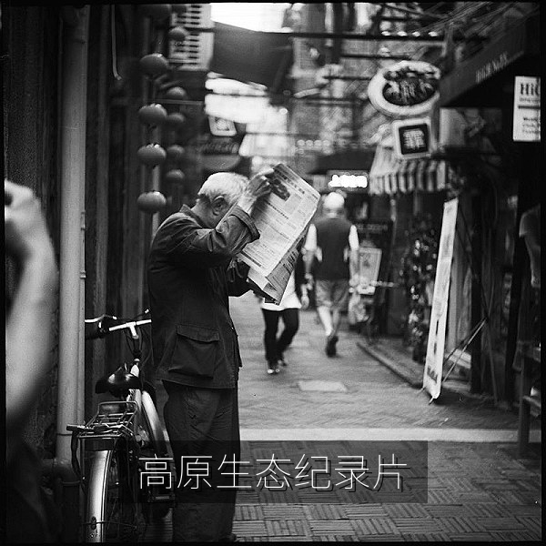 国产自然纪录片镜头：青藏高原雪山下奔跑的藏羚羊群