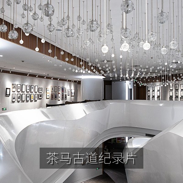国产历史人文纪录片《茶路回响》茶马古道山路与马帮影像