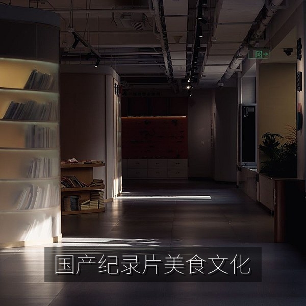 国产纪录片推荐中的美食文化与地方风物镜头