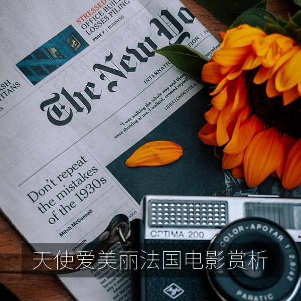 法国电影天使爱美丽赏析与欧洲电影中文字幕配图