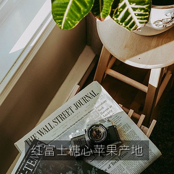 红富士糖心苹果主要产地果园与采摘季节