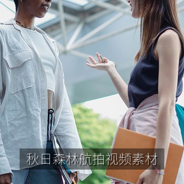 秋日森林航拍视频素材，金黄树林与山间薄雾