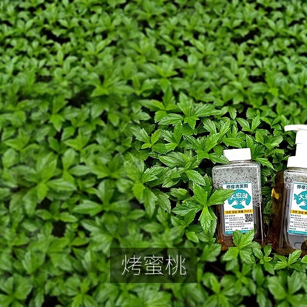 烤箱烤制的蜜桃对半切开，表面焦糖化并撒有燕麦碎