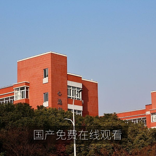 国产免费在线观看国产剧与电影的家庭观影场景