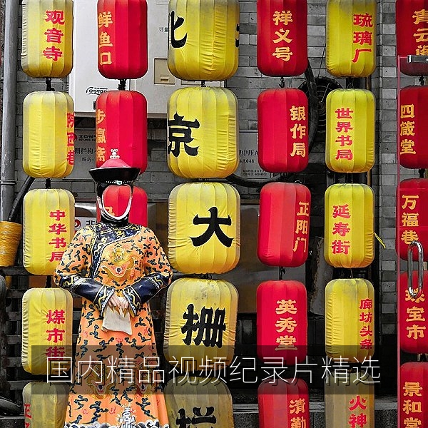 国内精品视频与高清纪录片精选专题封面