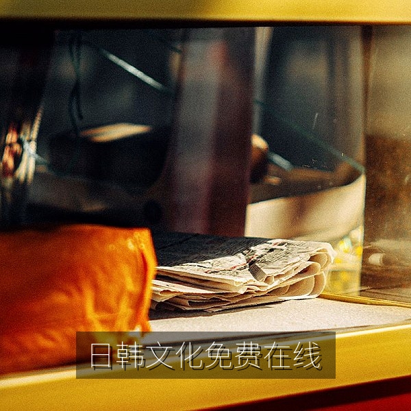 免费在线日韩首屏插图：樱花与首尔夜景交织的日韩文化主题