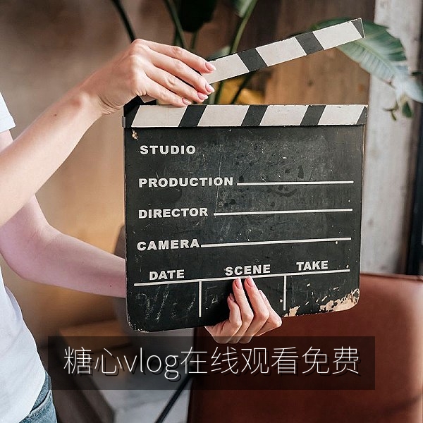 糖心vlog在线观看免费首页横幅，展示高清生活vlog合集