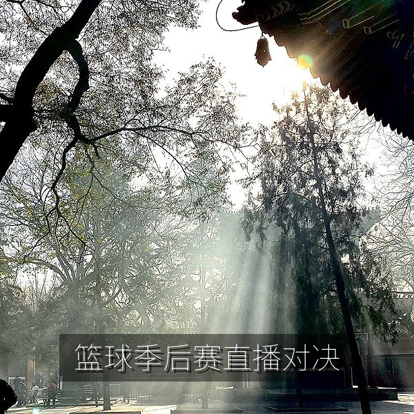 篮球季后赛直播对决现场，体育赛程表热门场次