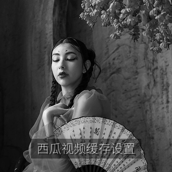 西瓜视频缓存设置页面中选择清晰度与存储位置