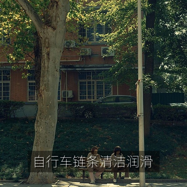 给自行车链条清洁并涂抹润滑油的保养步骤