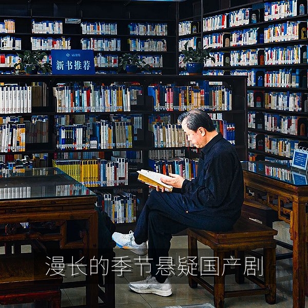 国产剧集口碑榜《漫长的季节》东北小城悬疑氛围画面
