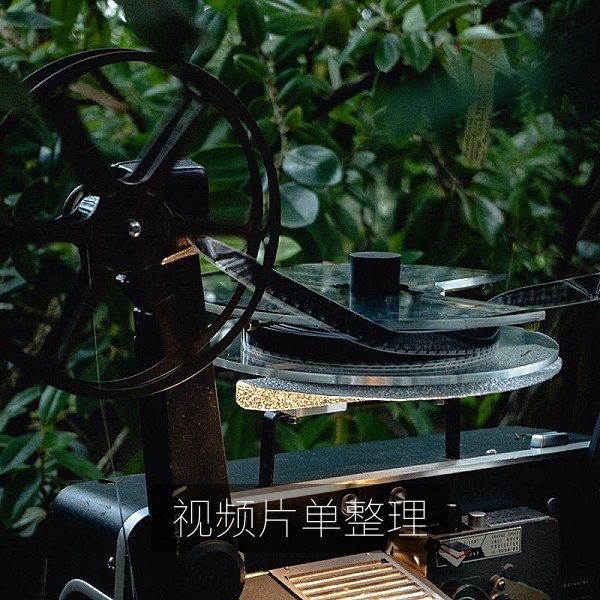 按主题与年份整理视频收藏片单的分类结构图
