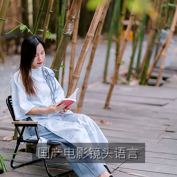 国产电影影评专栏：镜头语言与构图赏析