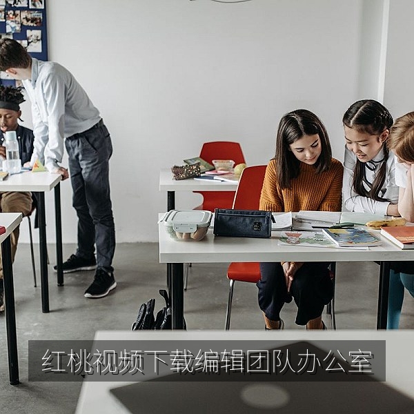 红桃视频下载编辑团队办公室与客户服务接待区