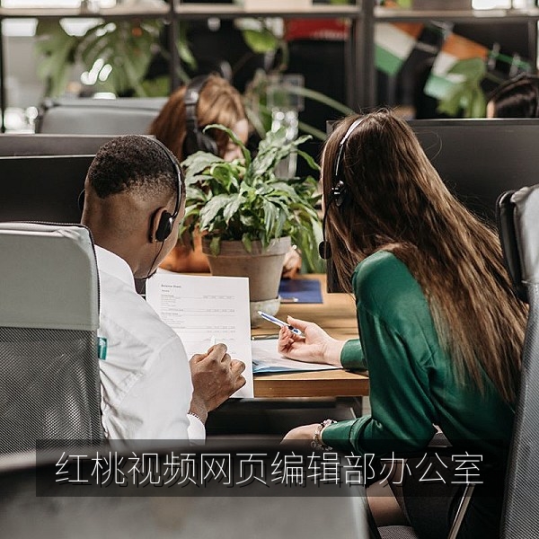 红桃视频网页编辑部办公环境，影视内容整理团队