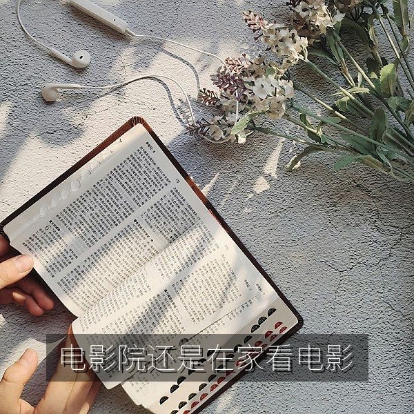 吃瓜每日大赛投票话题：电影院观影与居家观影的选择