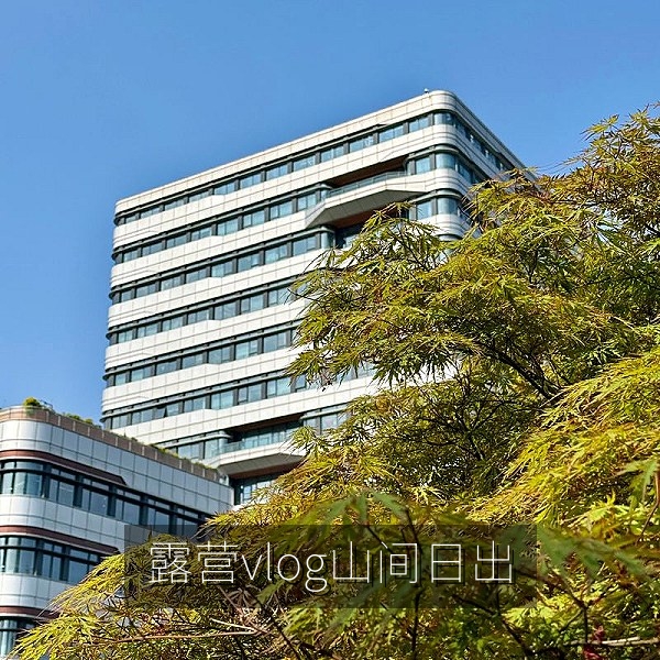 周末露营山间日出vlog高清合集