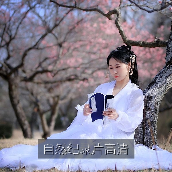 自然纪录片《四季山海》高清在线观看画面