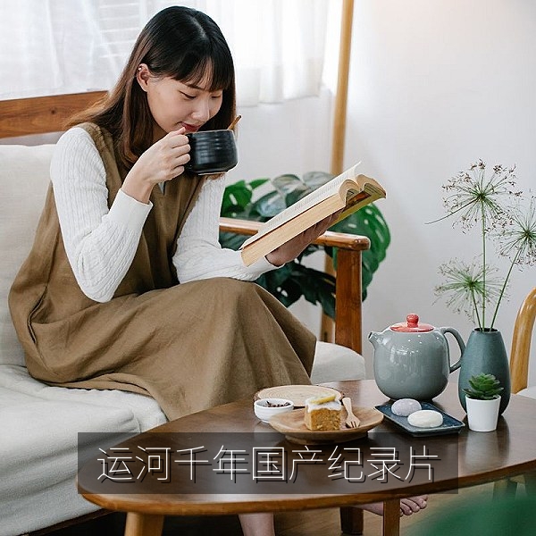 国产纪录片《运河千年》高清画面，古运河与航运船只