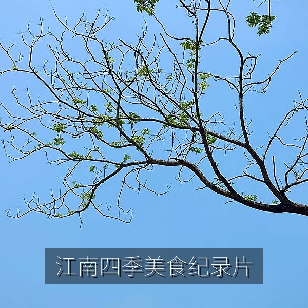 美食纪录片《江南四季餐桌》传统菜肴特写，高清在线观看