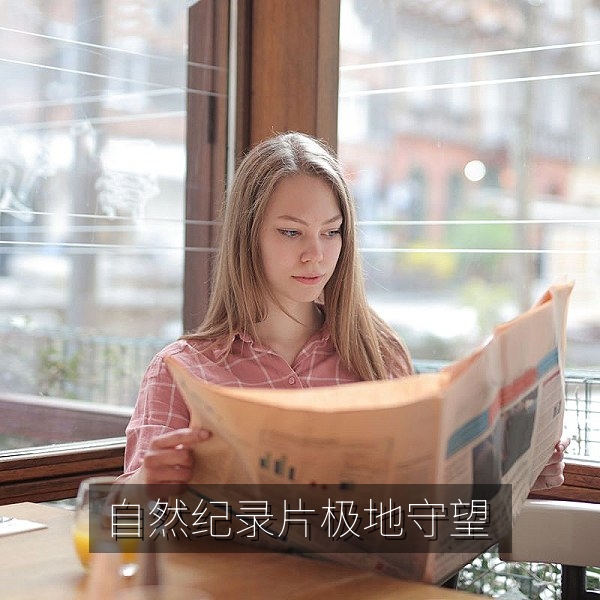 自然生态国产纪录片《极地守望》画面，高清纪录片在线观看