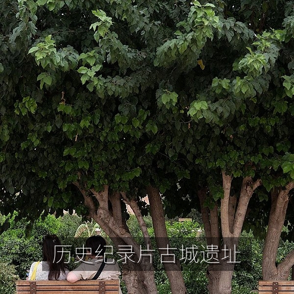 历史纪录片《城墙之下》古城遗址航拍画面，纪录片高清在线观看