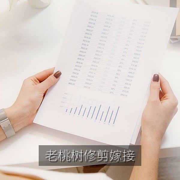 老果农修剪嫁接桃树的蜜桃种植短片