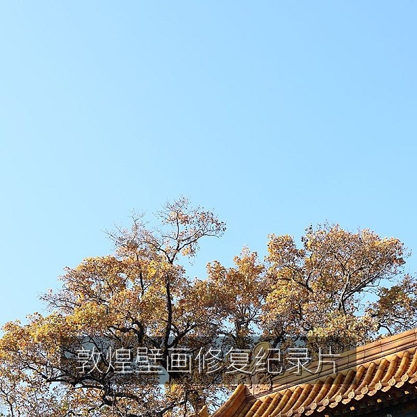 国产纪录片《敦煌壁画修复日志》，修复师在洞窟内细致工作