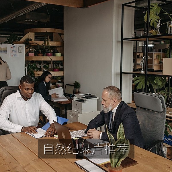 自然纪录片推荐配图，高清纪录片片单导航