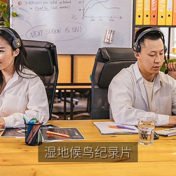 湿地候鸟迁徙群飞画面，自然纪录片流畅在线播放