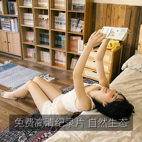 免费高清纪录片中的高原湿地生态与候鸟迁徙画面
