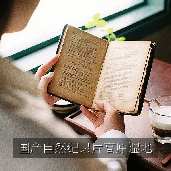 国产自然纪录片《高原湿地四季》候鸟栖息画面