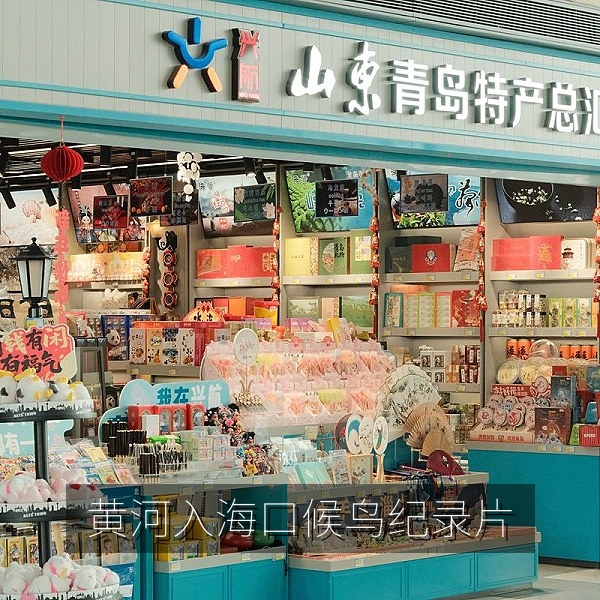 黄河入海口候鸟迁徙自然纪录片高清封面