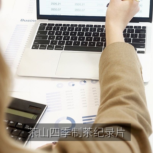 茶山四季采茶制茶过程纪录片高清封面