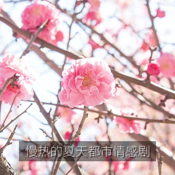 都市情感剧《慢热的夏天》剧照，轻松治愈的追剧推荐