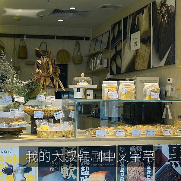 我的大叔韩剧中文字幕推荐配图，都市夜景下的沉静人物