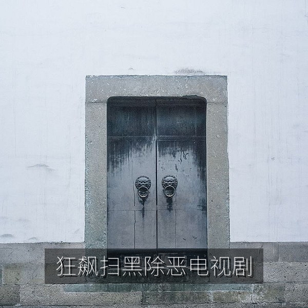 《狂飙》刑侦题材电视剧插图，热播国产剧推荐