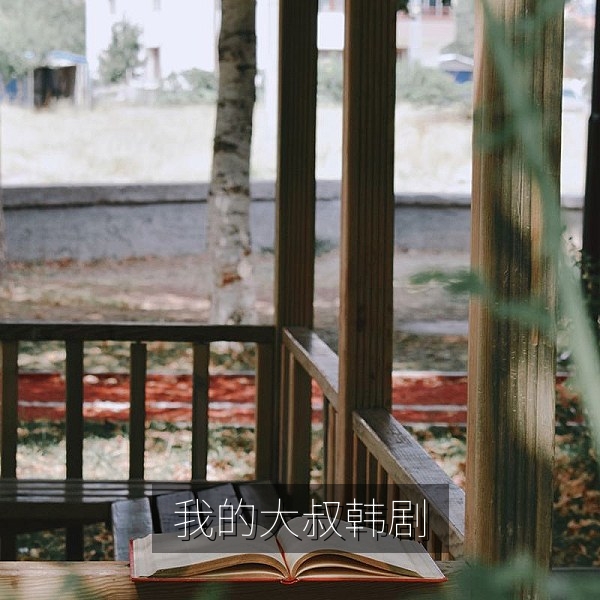 韩剧《我的大叔》风格插图，治愈系韩剧中文字幕观看推荐