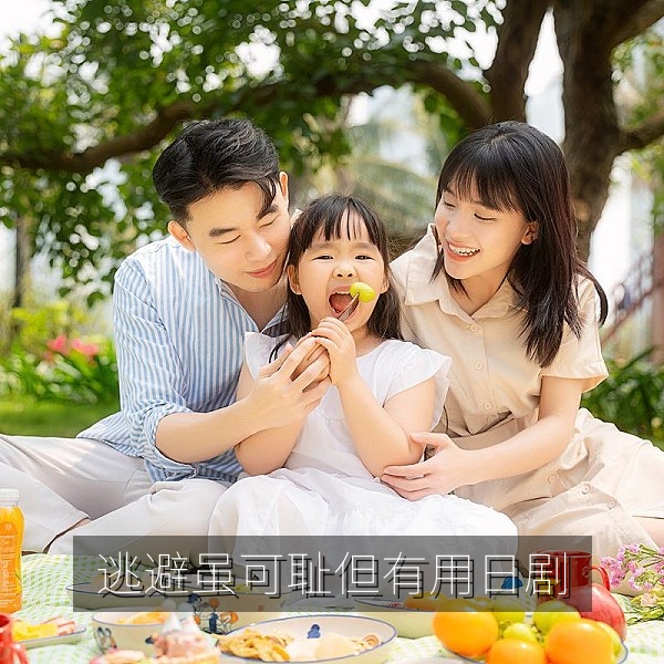 日剧《逃避虽可耻但有用》风格插图，日剧中文字幕轻松观看推荐